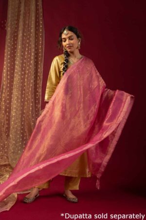 Image for Kusvaa Cood047 Chaitali Tissue Kurta Pant Set Sleeves Latset